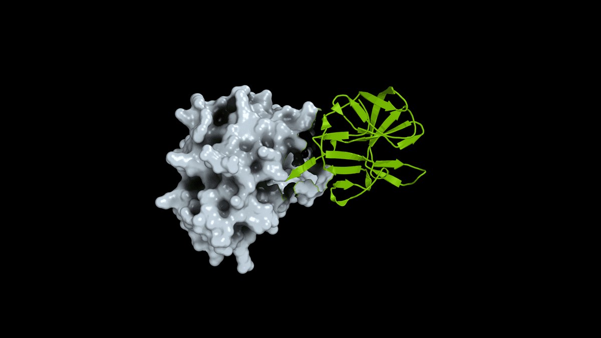 엔비디아·EMBL-EBI, 바이러스 단백질 구조 예측 공개…팬데믹 연구 기반 확대
